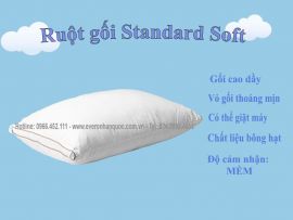 Ruột gối Everon Standard Soft