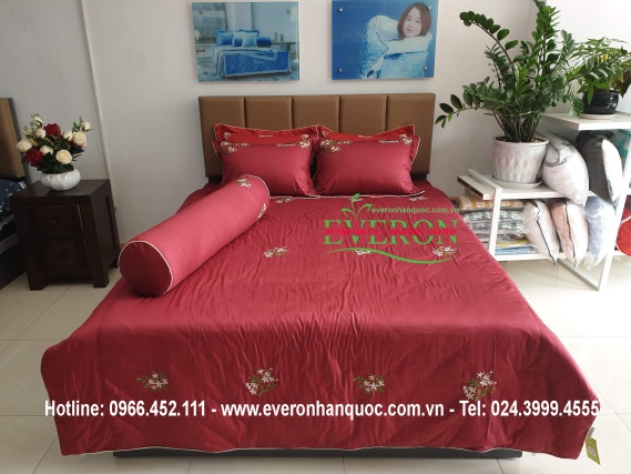 everonhanquoc