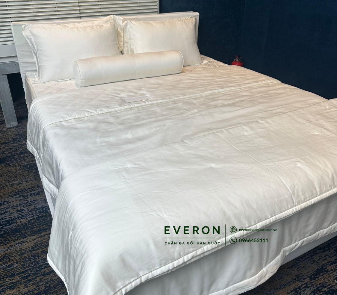 Bộ chăn ga Everon Basic BSL-713
