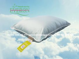 Ruột gối Everon 5 giây