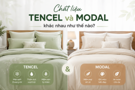 Chất liệu Tencel và Modal khác nhau như thế nào?