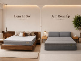 Nên Mua Đệm Bông Ép Hay Đệm Lò Xo? Cách Chọn Đệm Phù Hợp Theo Độ Tuổi