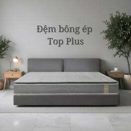 Đệm bông ép Everon Topplus New